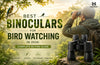 Best Binoculars for Bird Watching in 2026: Complete Buying Guide