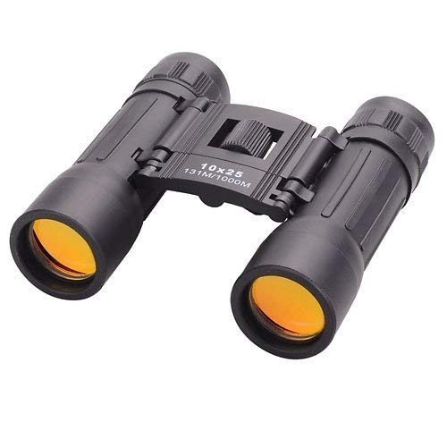 Real Instruments Compact 10x25 Mini Binoculars HD Vision Binoculars with Powerful Lens 101 to 1000m Vision Telescope For Outdoor, Travel Stargazing Concerts Sports Portable Long Distance Telescope for Kids Binocular, BN-10x25