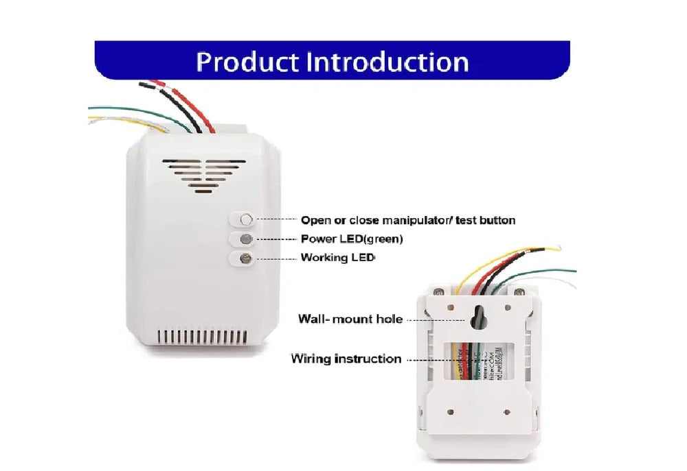 Real Instruments LPG Gas Leakage Detector, TS-13