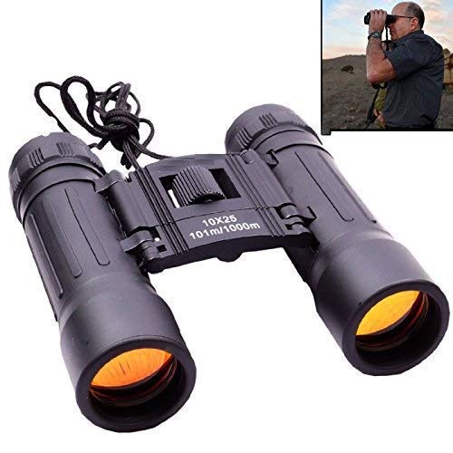 Real Instruments Compact 10x25 Mini Binoculars HD Vision Binoculars with Powerful Lens 101 to 1000m Vision Telescope For Outdoor, Travel Stargazing Concerts Sports Portable Long Distance Telescope for Kids Binocular, BN-10x25