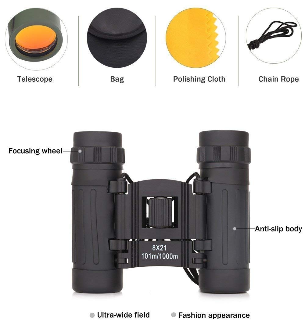 Real Instruments Compact 10x25 Mini Binoculars HD Vision Binoculars with Powerful Lens 101 to 1000m Vision Telescope For Outdoor, Travel Stargazing Concerts Sports Portable Long Distance Telescope for Kids Binocular, BN-10x25