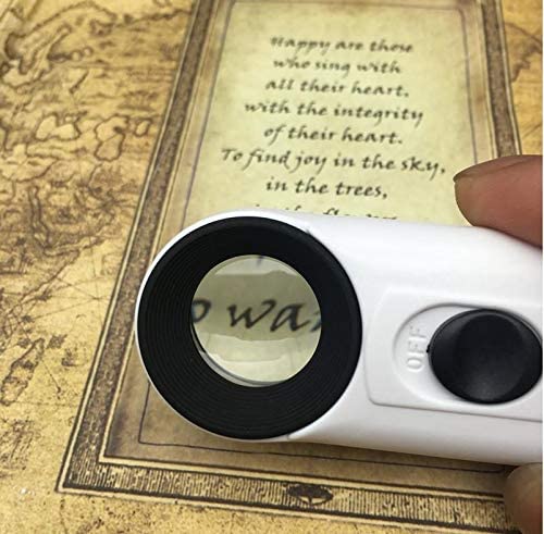 Real Instruments Handheld Magnifier 40x Magnifying Glass with 2 LED 19 mm Lights for Education,Home and Office,Industrial Inspection, 6B-1B