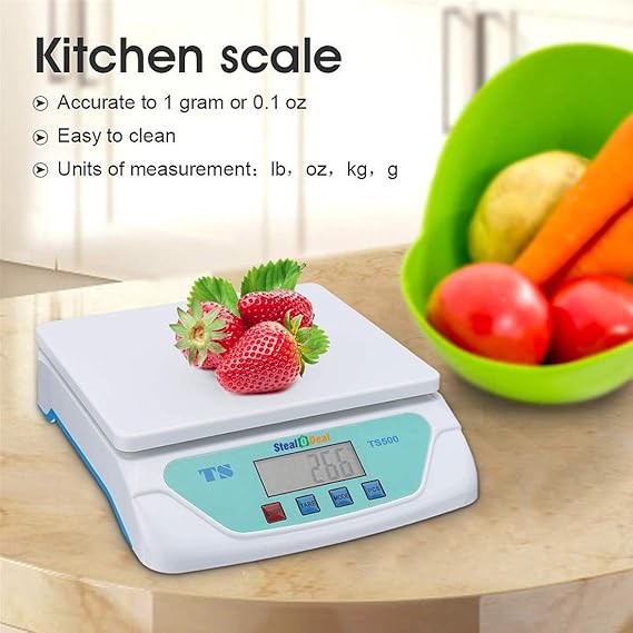 Real Instruments Multipurpose Electronic Digital Weighing Scale Weight Machine TS-500 Kitchen Weight Measuring Machine Digital Weighing Scale for Laboratories, Research Purpose - Capacity 1 Gram to 30 KG