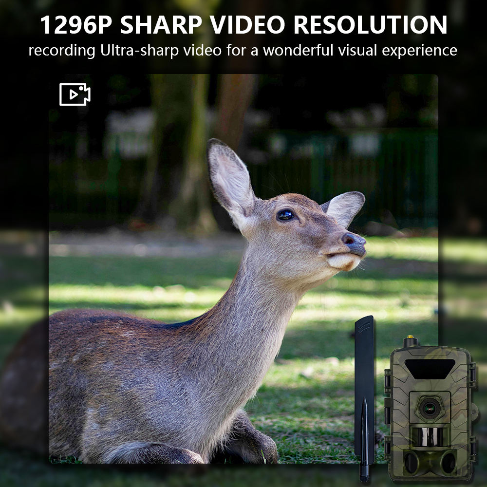 Real Instruments PR803G 60MP APP Control Night Vision Photo Wireless 4G LTE Cellular IP66 Waterproof 2.0" LCD Outdoor Hunting Trail Camera Trap