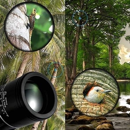 Real Instruments 16x52 Monocular Dual Focus Optics Zoom Telescope for Birds Watching/Wildlife/Hunting/Camping/Hiking/Tourism/Armoring/Live Concert 66M/8000M